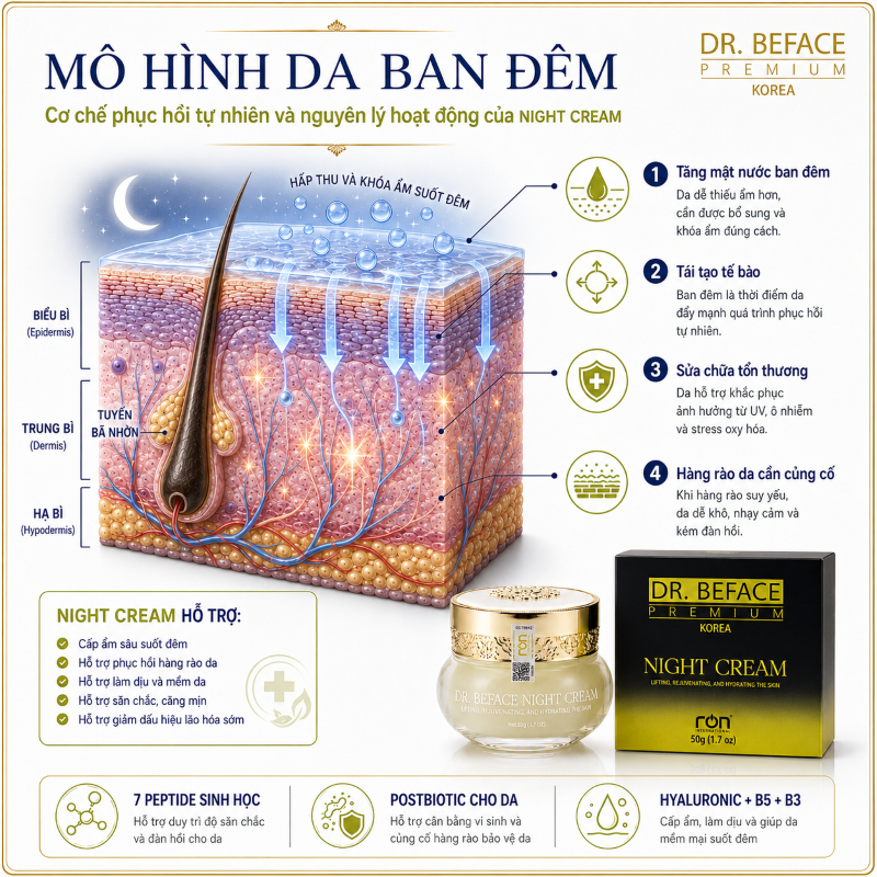 DR.BEFACE PREMIUM NIGHT CREAM/Kem Dưỡng Da Ban Đêm Phức Hợp Peptide Sinh Học – Hỗ Trợ Phục Hồi Và Củng Cố Hàng Rào Da